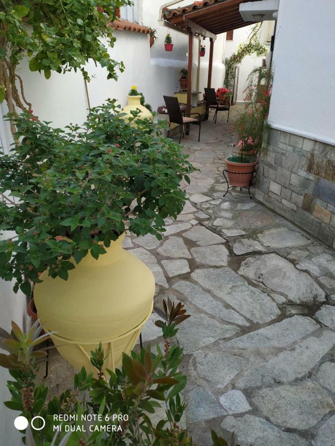 Pension Nikolas Σκιάθος Πόλη Εξωτερικό φωτογραφία